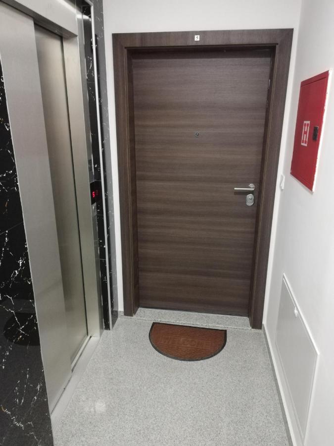 Center Apartment Delfina 奥赫里德 外观 照片